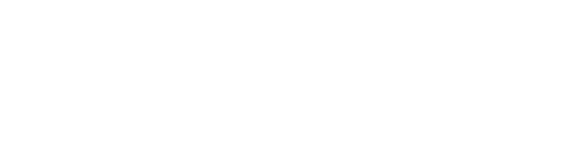 Stryker Logo 2